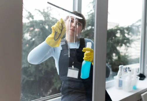 Nettoyage de vitres intérieures et extérieures à Saint-Claude-de-Diray